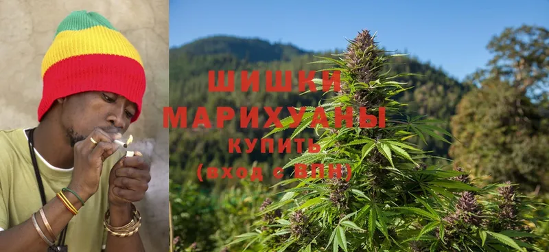 Канабис Bruce Banner  Кизляр 